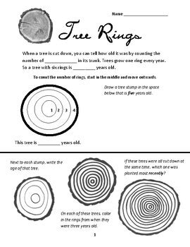 tree ring worksheets